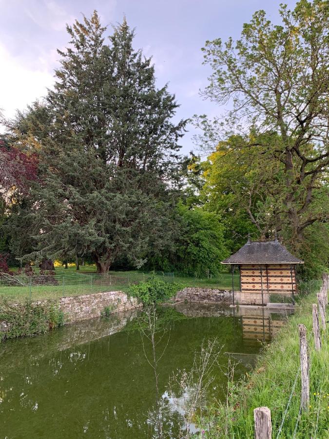 Chateau Du Mauny, Gites Et Chambres D'Hotes En Bourgogne Rosey Exterior photo