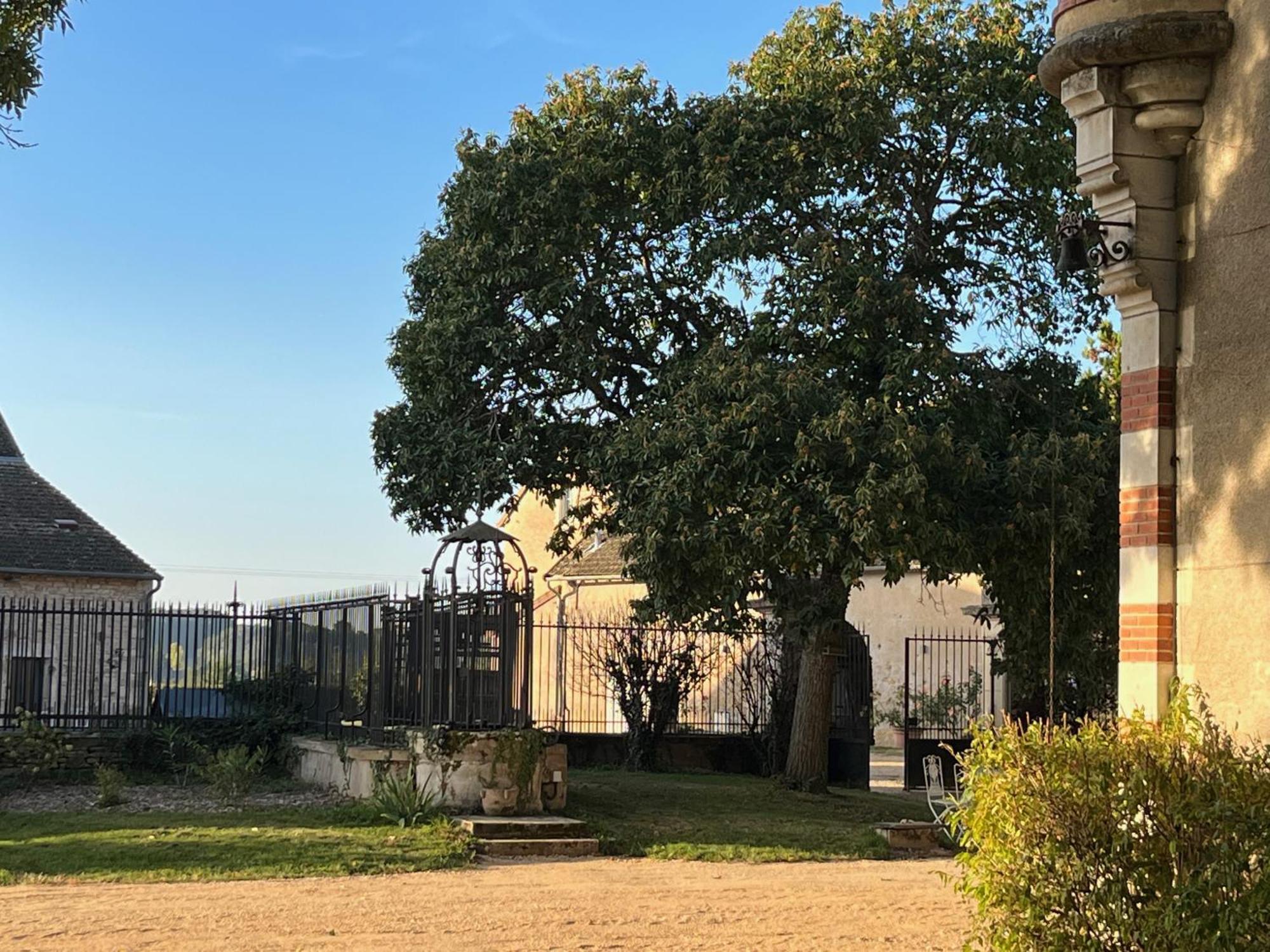 Chateau Du Mauny, Gites Et Chambres D'Hotes En Bourgogne Rosey Exterior photo